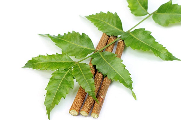 siwaak-or-neem-herb