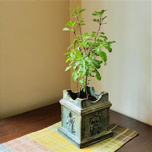 cement-tulsi-stand-500x500