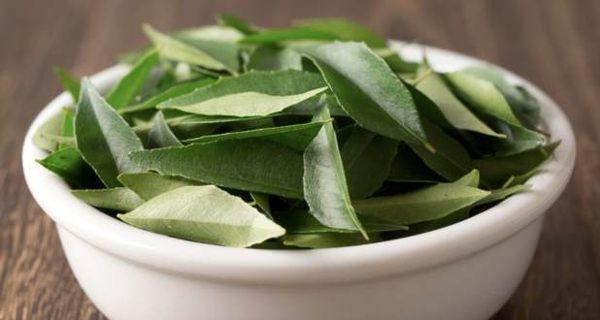 curry-leaves-for-hair-loss