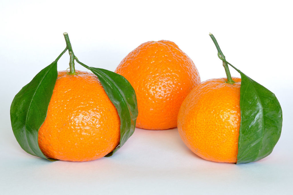 1200px-Mandarin_Oranges_(Citrus_Reticulata)