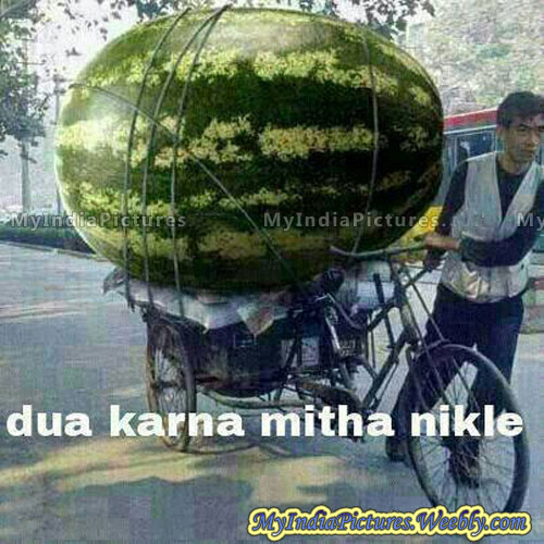 biggest water melon