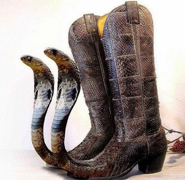 cobra-head-cowboy-boots